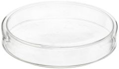 Petri Dish, Glass