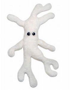 Bone Cell Plush - Giant Microbe