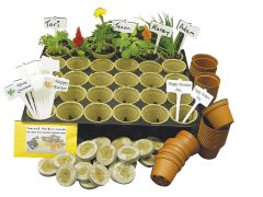 Plant propagation, classroom kit