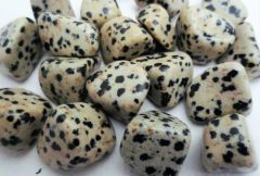 Dalmation Jasper - Polished