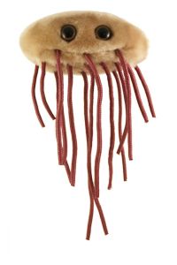 GIANT Microbes-E Coli