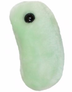 GIANT Microbes-Flu