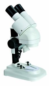 Stereo Microscope 20X