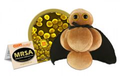 GIANT Microbes-MRSA