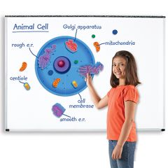 Giant Magnetic Animal Cell