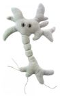 GIANT Microbes-Brain